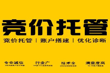 SEM外包公司案例分析：效果惊人